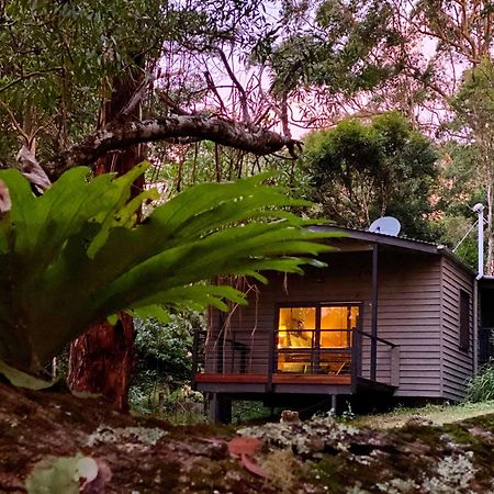 Whispering Valley Cottage Retreat Maleny Zewnętrze zdjęcie