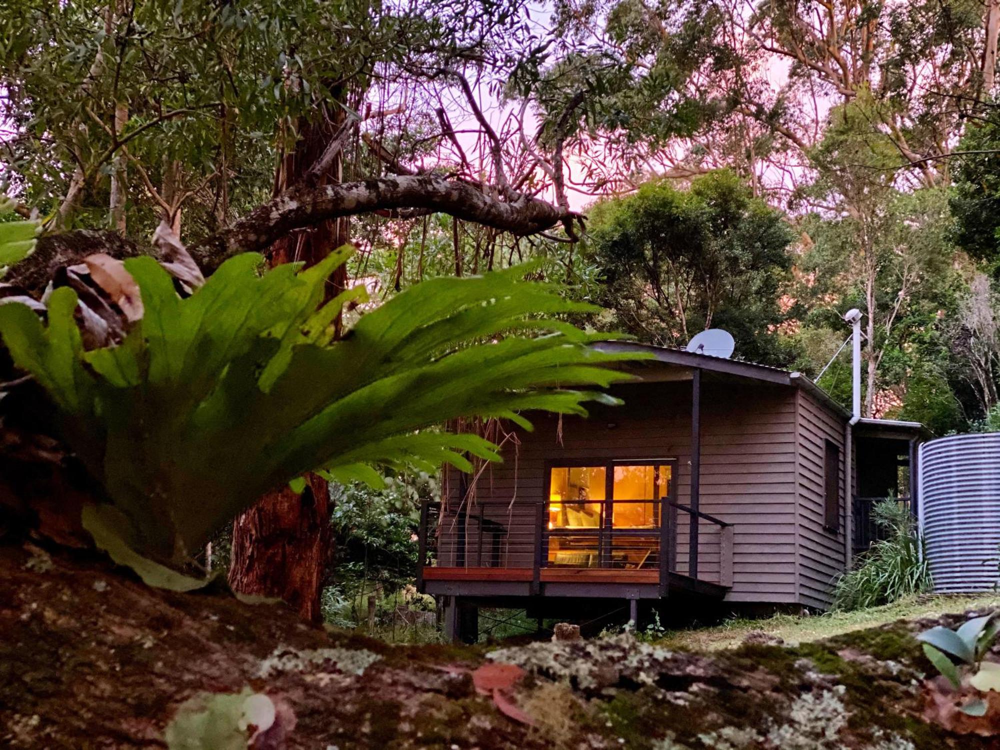 Whispering Valley Cottage Retreat Maleny Zewnętrze zdjęcie