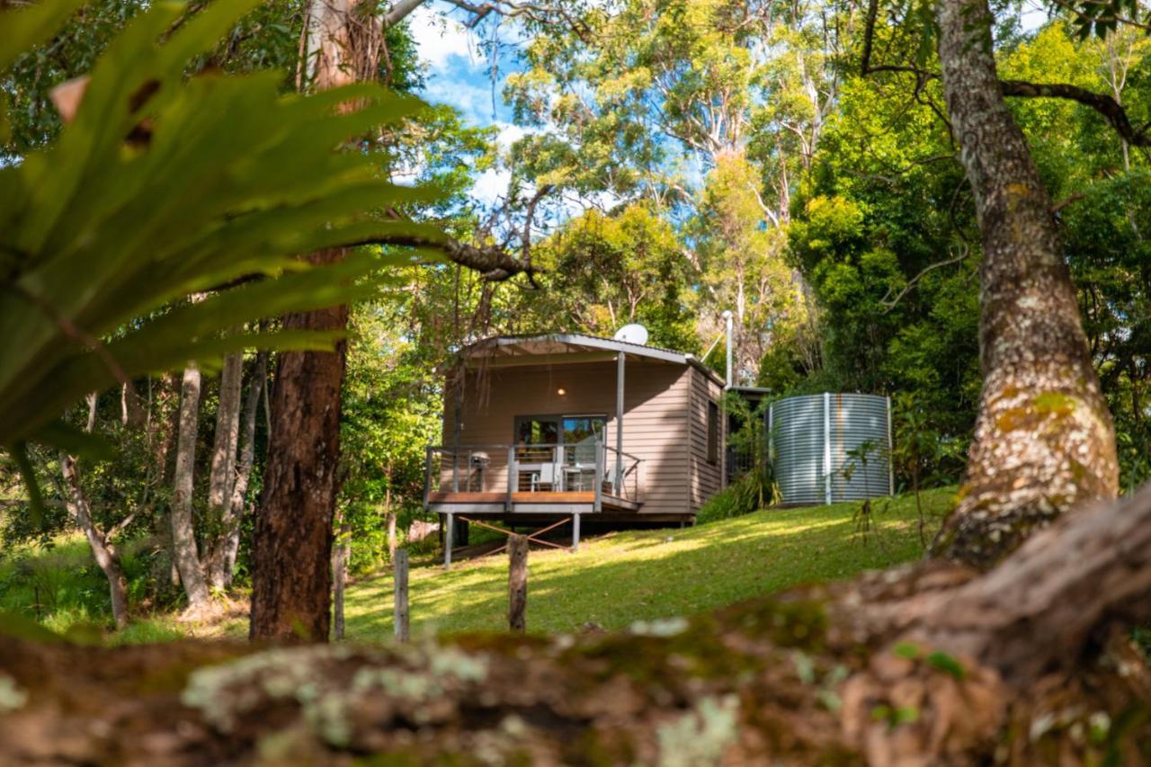 Whispering Valley Cottage Retreat Maleny Zewnętrze zdjęcie