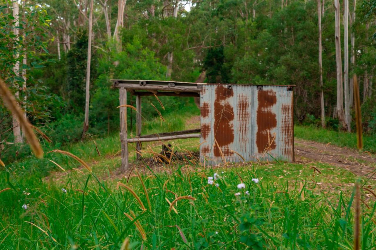 Whispering Valley Cottage Retreat Maleny Zewnętrze zdjęcie