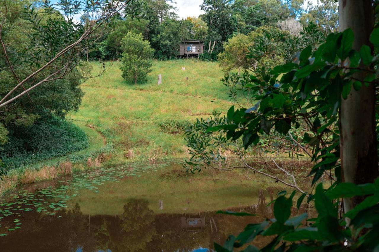 Whispering Valley Cottage Retreat Maleny Zewnętrze zdjęcie