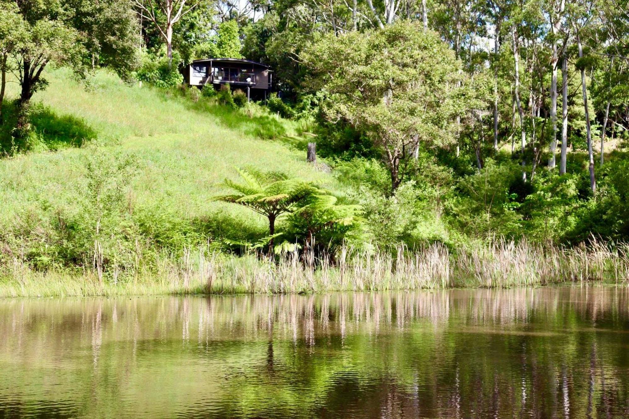 Whispering Valley Cottage Retreat Maleny Zewnętrze zdjęcie