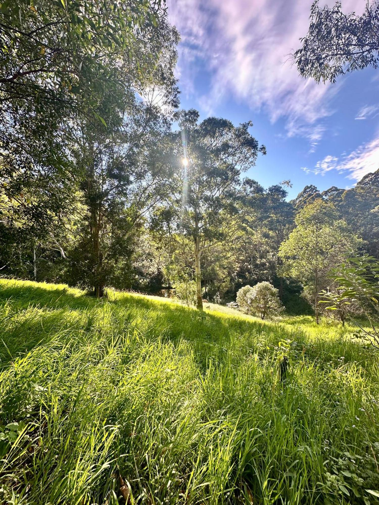 Whispering Valley Cottage Retreat Maleny Zewnętrze zdjęcie