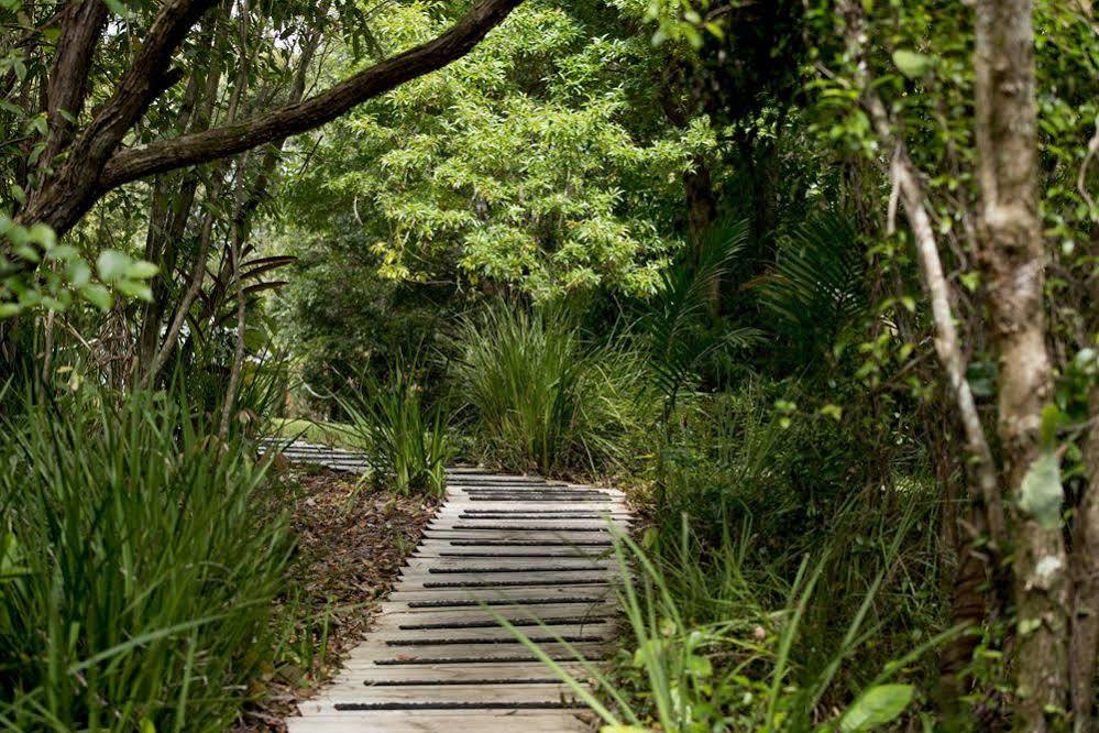 Whispering Valley Cottage Retreat Maleny Zewnętrze zdjęcie