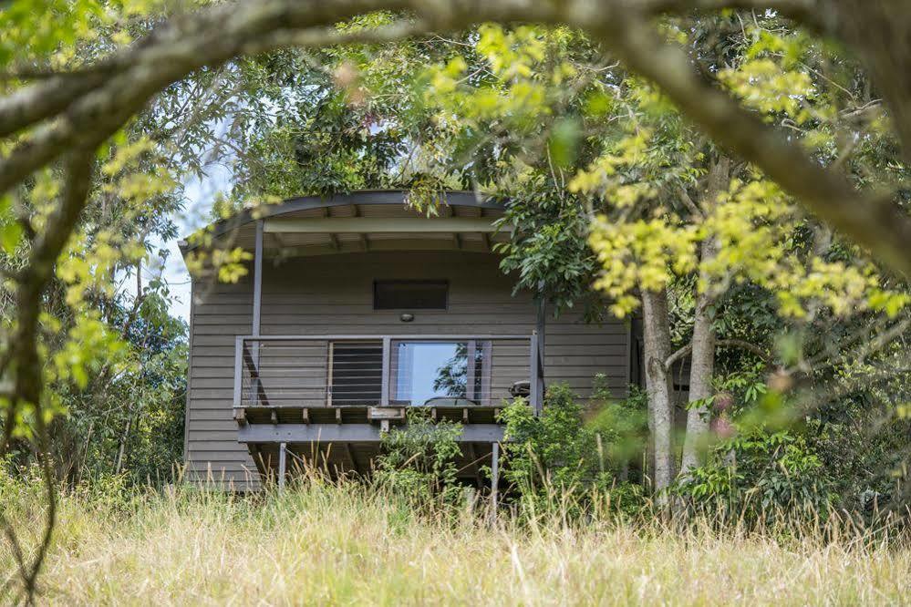 Whispering Valley Cottage Retreat Maleny Zewnętrze zdjęcie