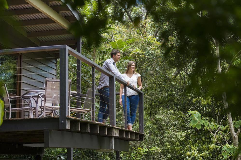 Whispering Valley Cottage Retreat Maleny Zewnętrze zdjęcie