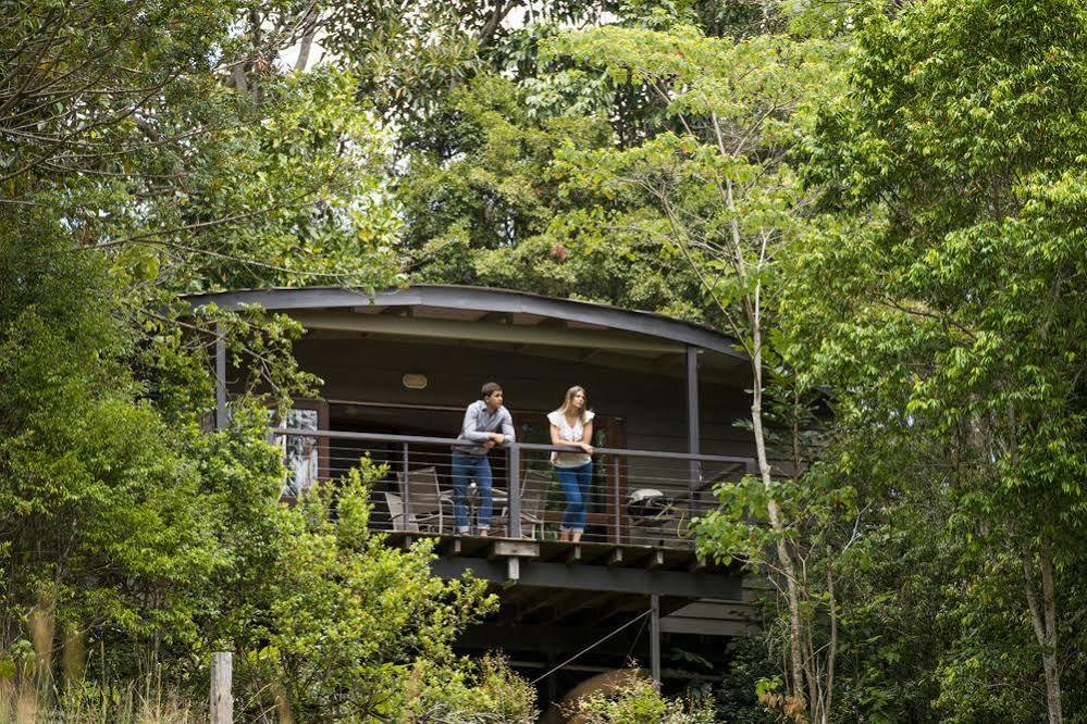 Whispering Valley Cottage Retreat Maleny Zewnętrze zdjęcie