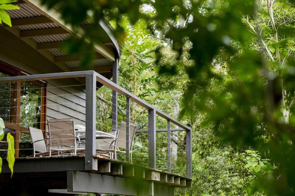 Whispering Valley Cottage Retreat Maleny Zewnętrze zdjęcie